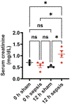 Figure 6: