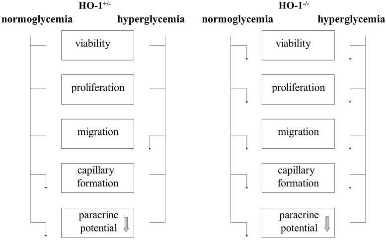 FIG. 8.