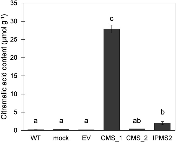 Fig. 6.