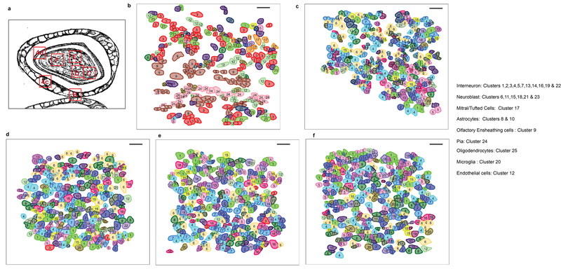 Extended Data Figure 10.
