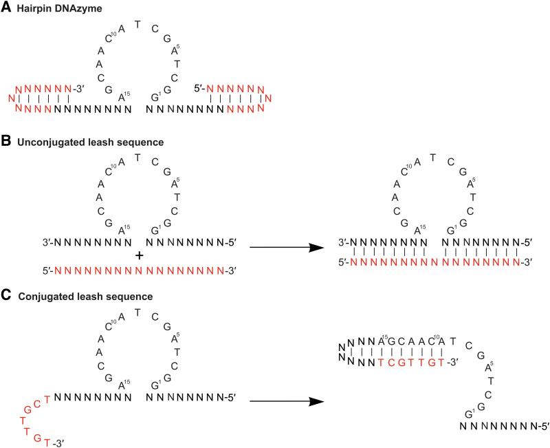 FIG. 3.