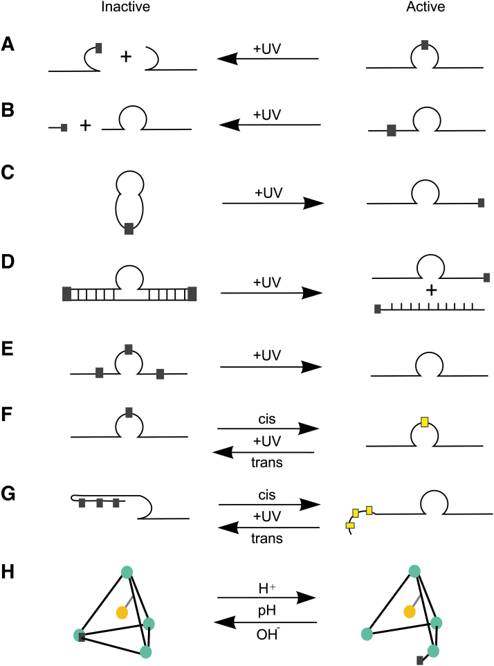 FIG. 4.