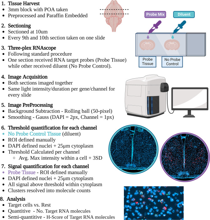 Fig 9