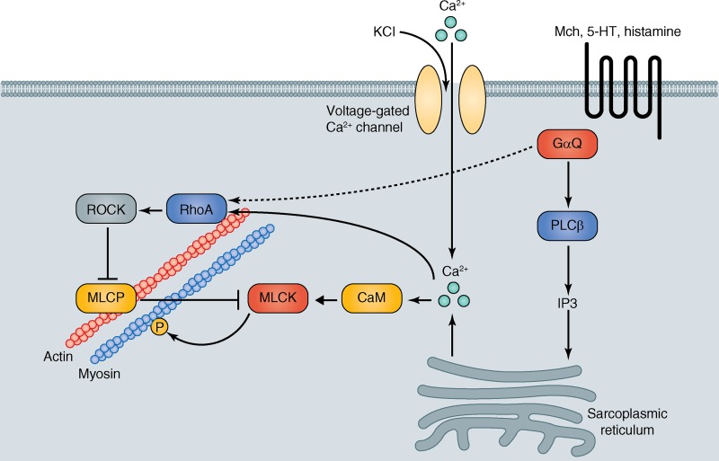 Figure 3.