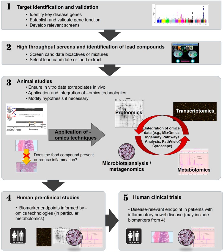 Why Are Omics Technologies Important to Understanding the Role of ...