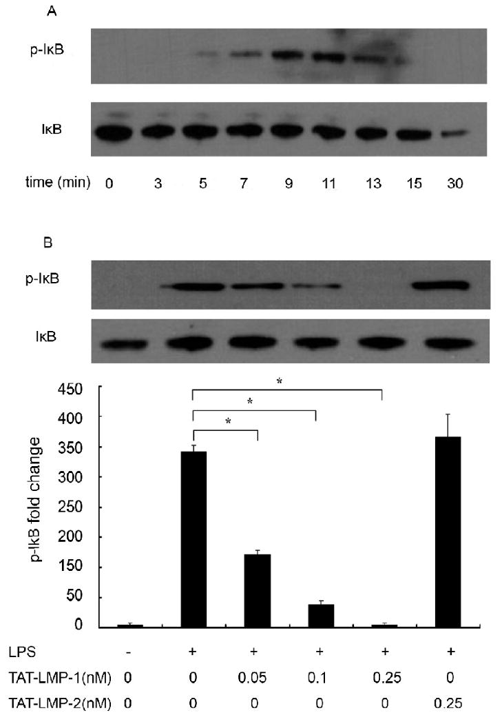 Fig.6