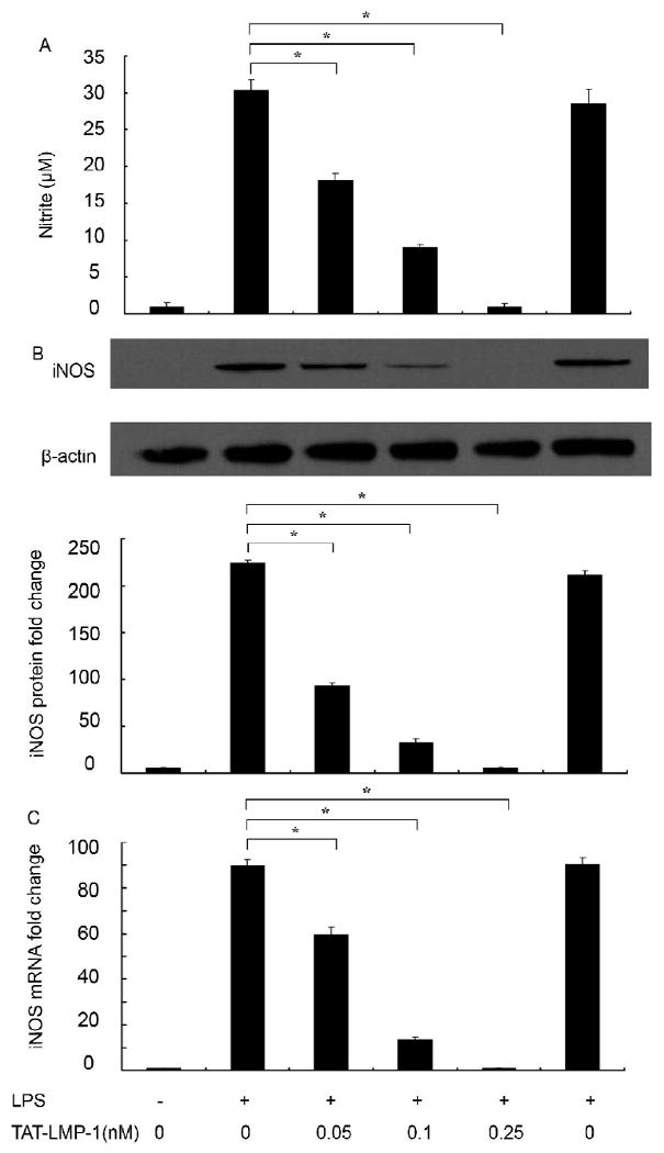 Fig.2