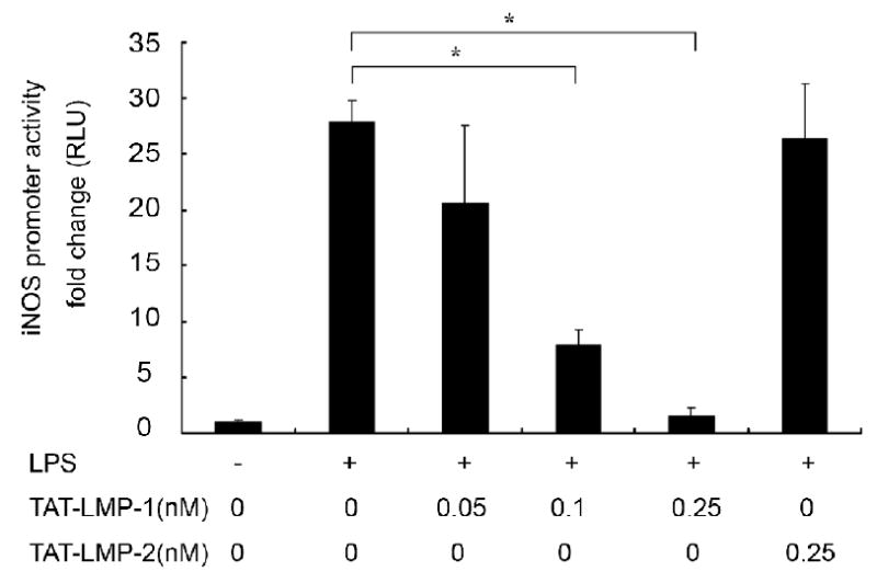 Fig.3