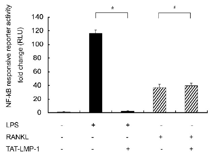 Fig.7