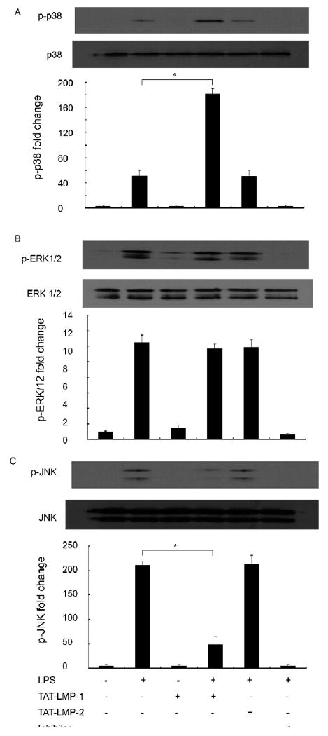 Fig.8