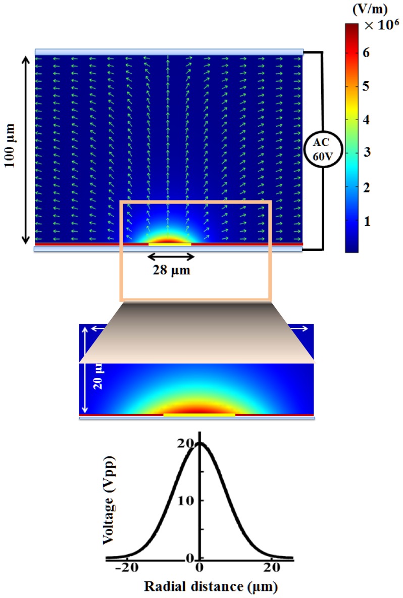 Figure 6.