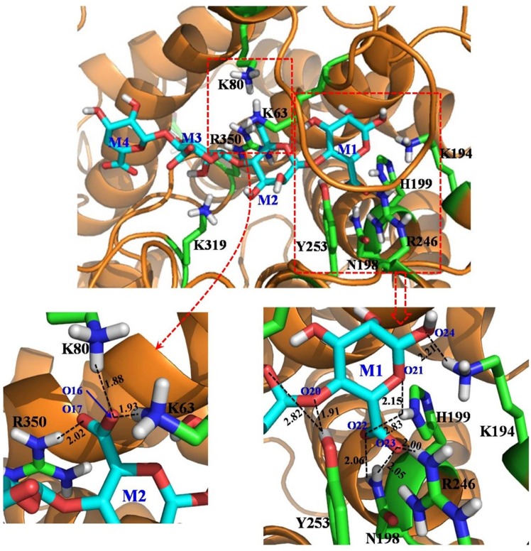 Fig 2