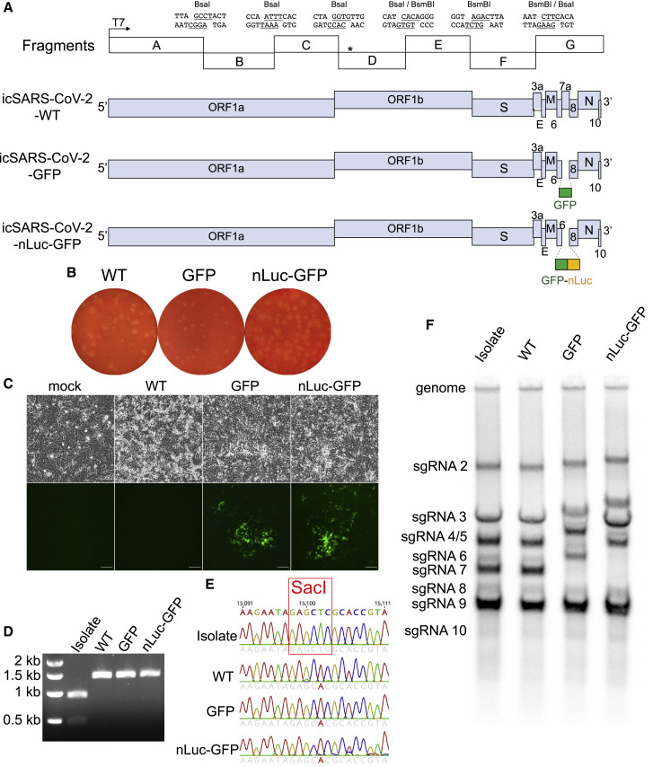 Figure 1