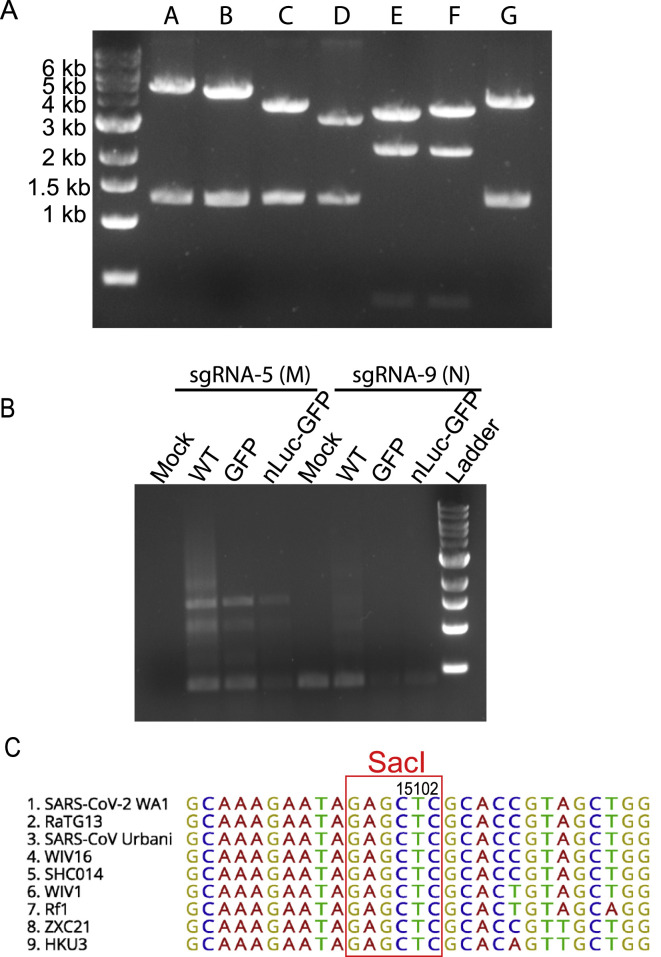 Figure S1