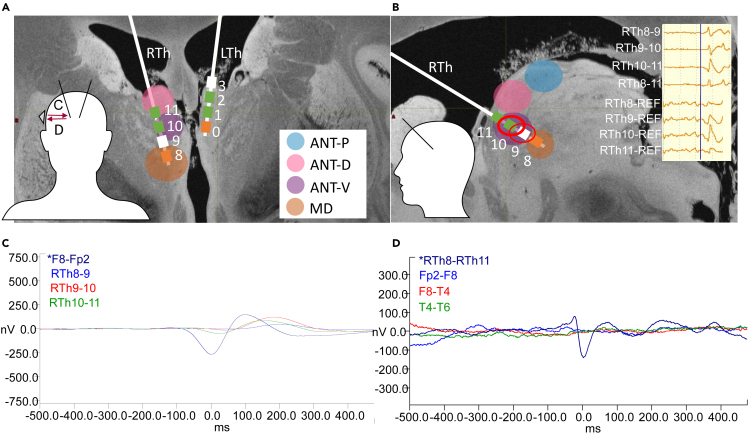 Figure 4