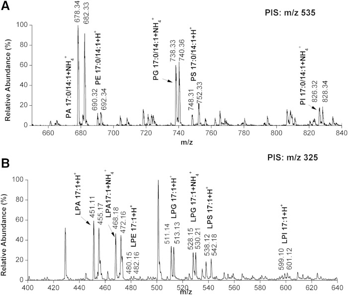 Fig. 4.