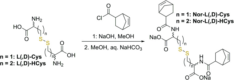 Scheme 2