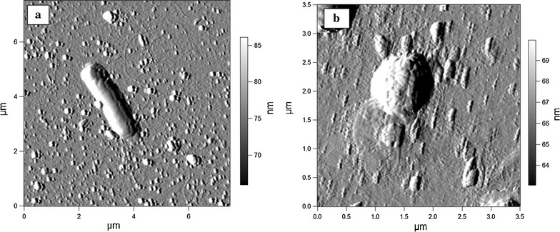 Fig. 4