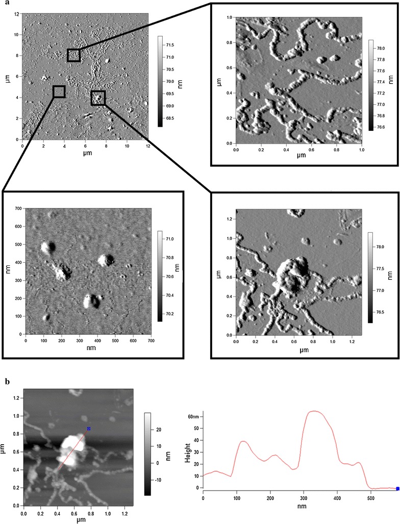 Fig. 3