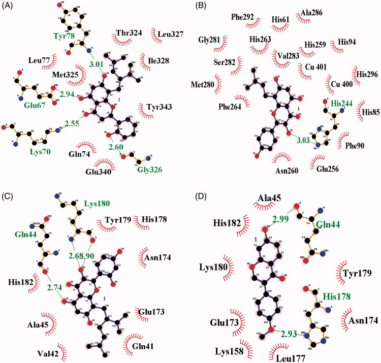 Figure 3.