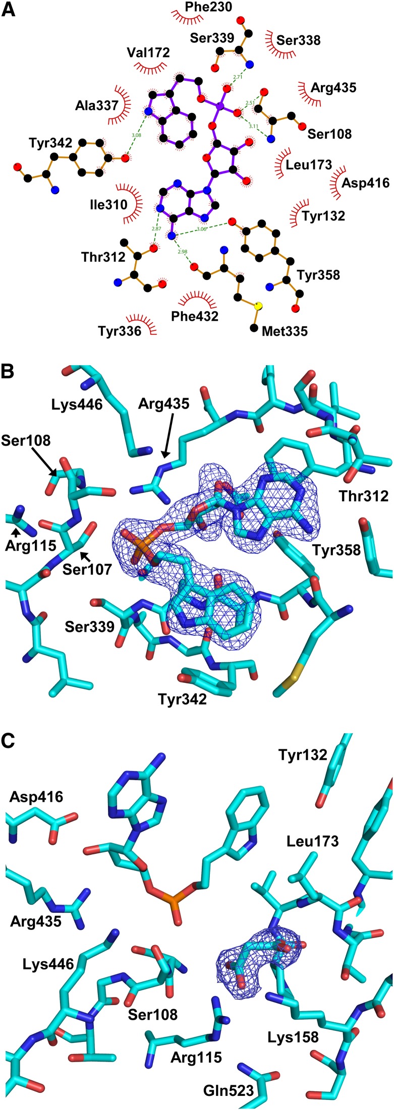 Figure 5.