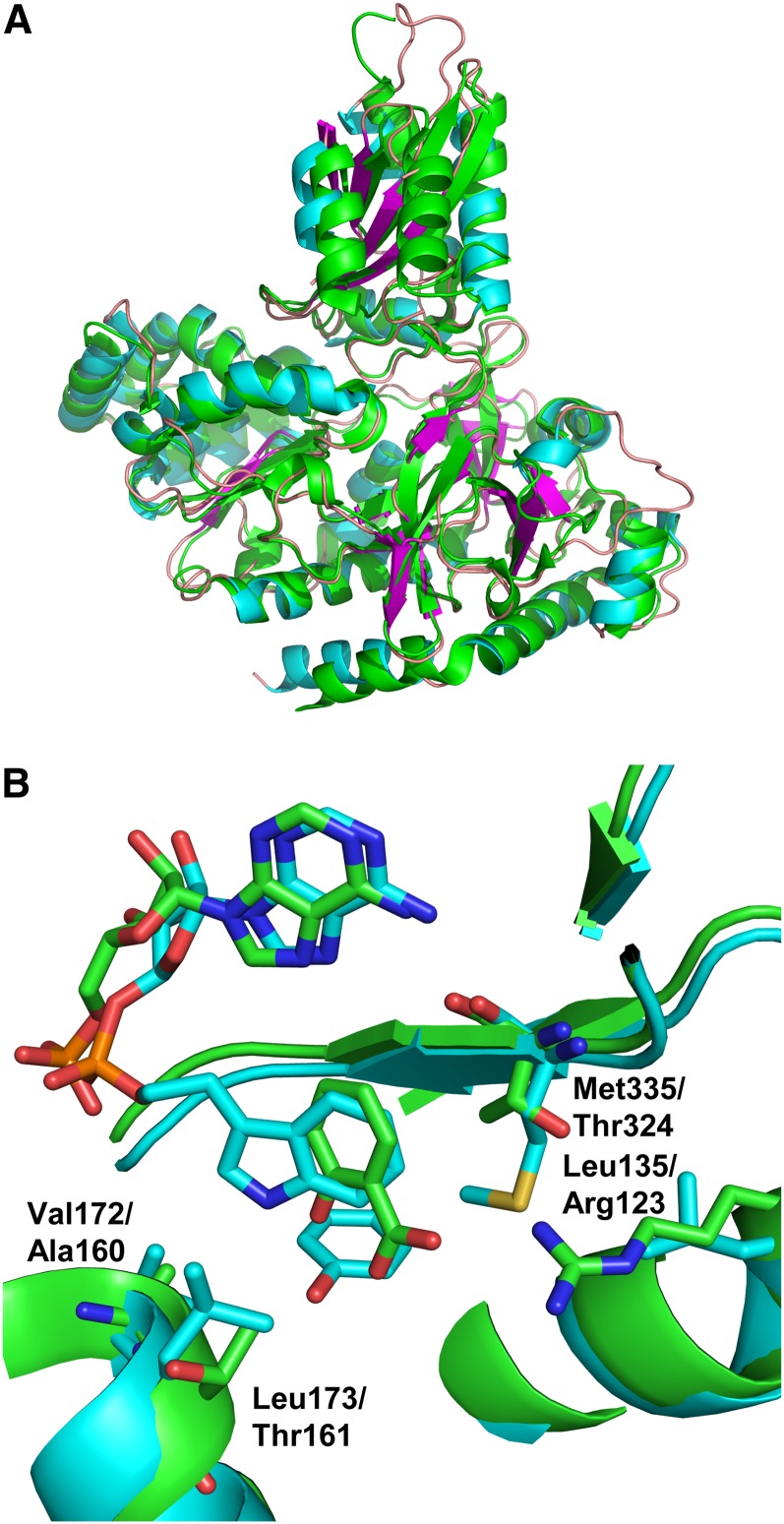 Figure 2.