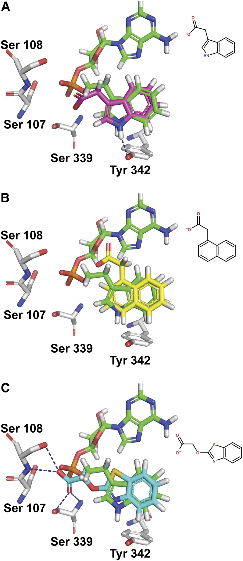 Figure 10.