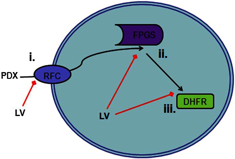 Fig. 1