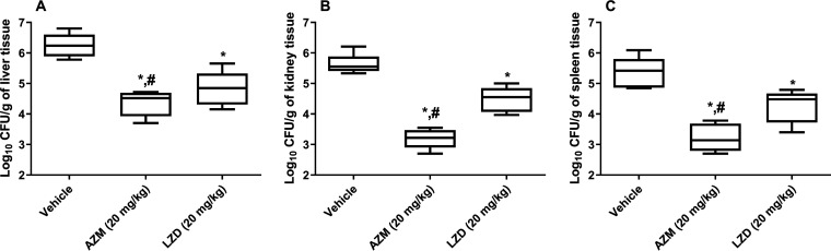 FIG 4