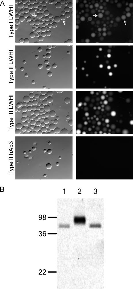 FIG. 3.