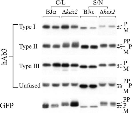 FIG. 8.