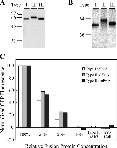 FIG. 6.