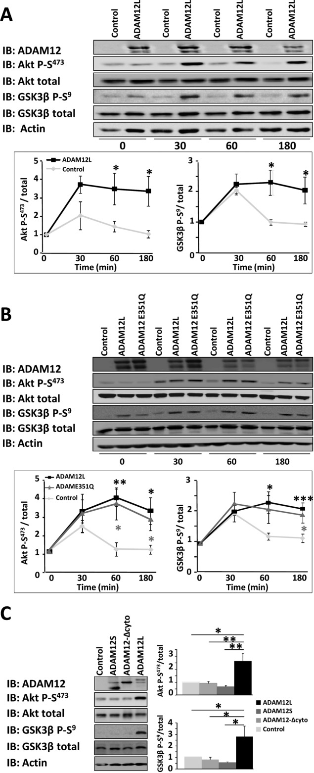 FIGURE 5: