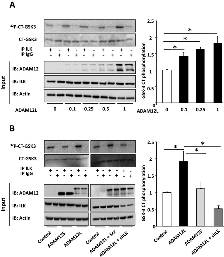 FIGURE 7: