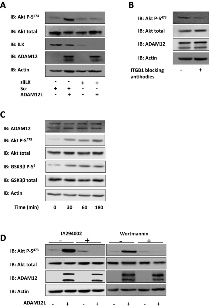 FIGURE 6: