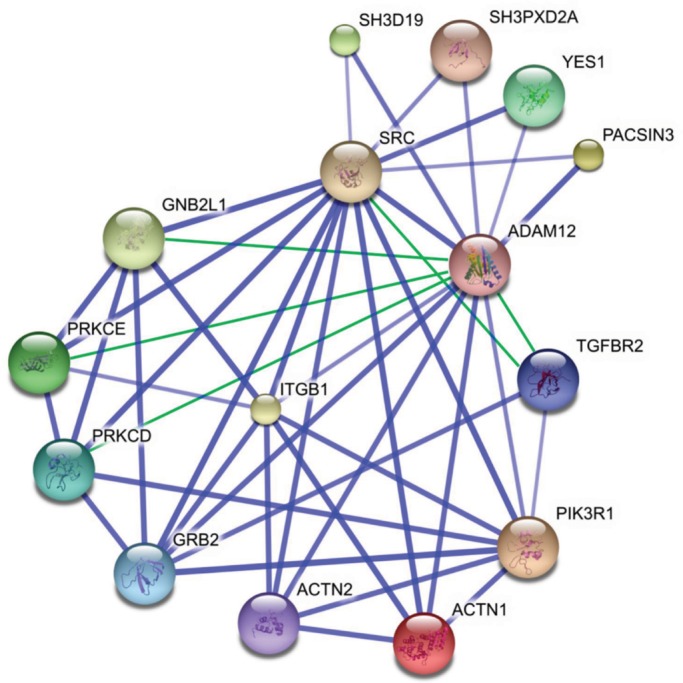 FIGURE 1: