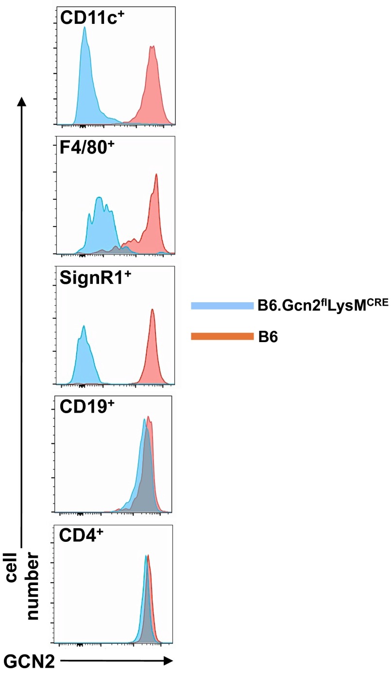 Fig. S3.