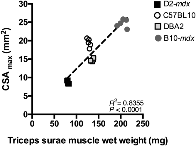 Figure 3