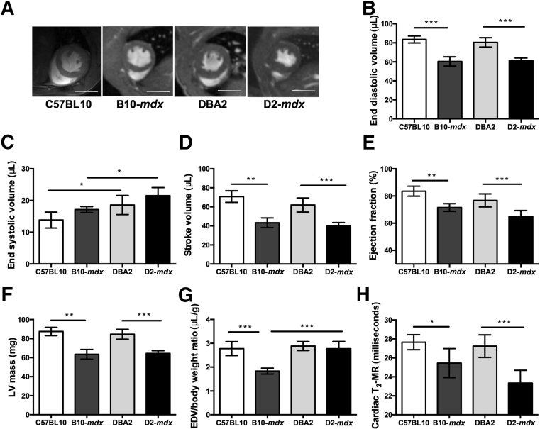 Figure 6