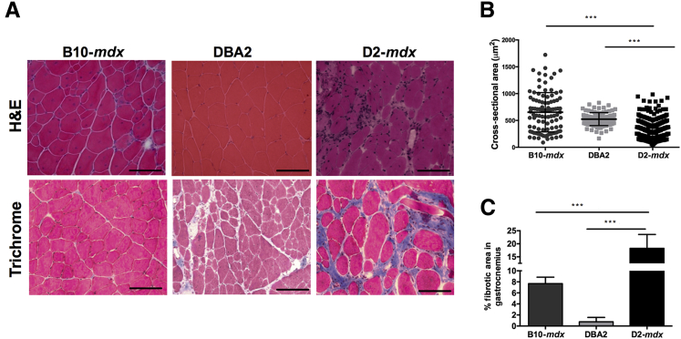 Figure 7