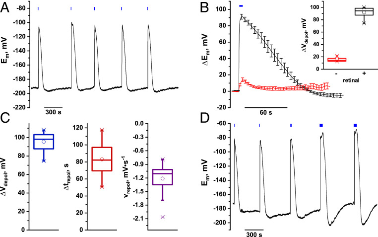 Fig. 3.