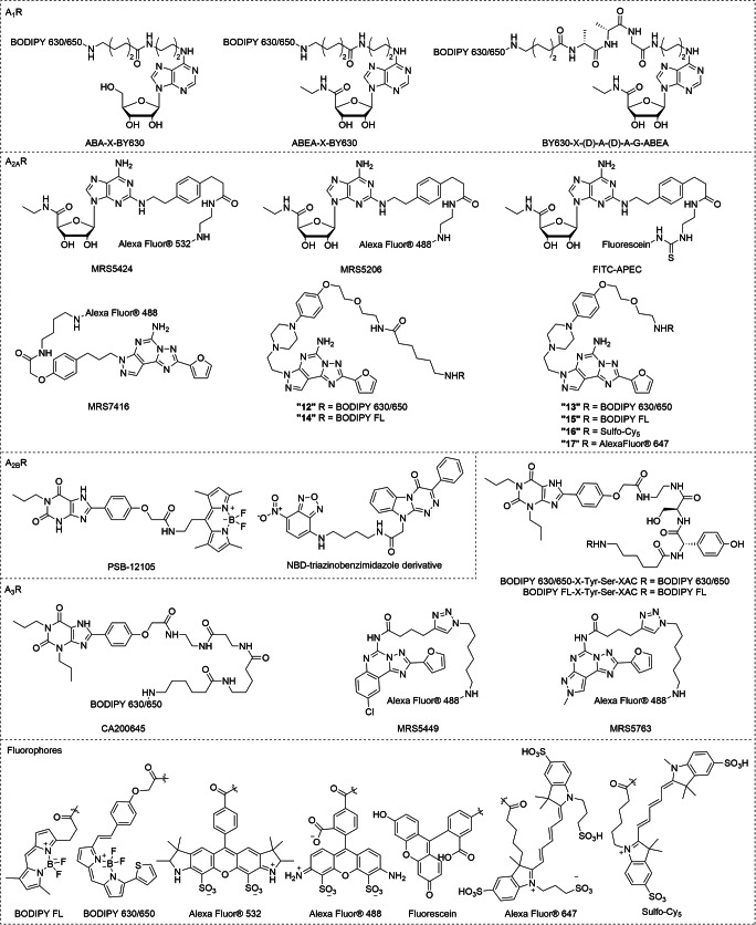 Fig. 3