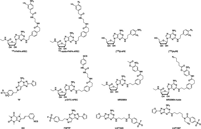 Fig. 5