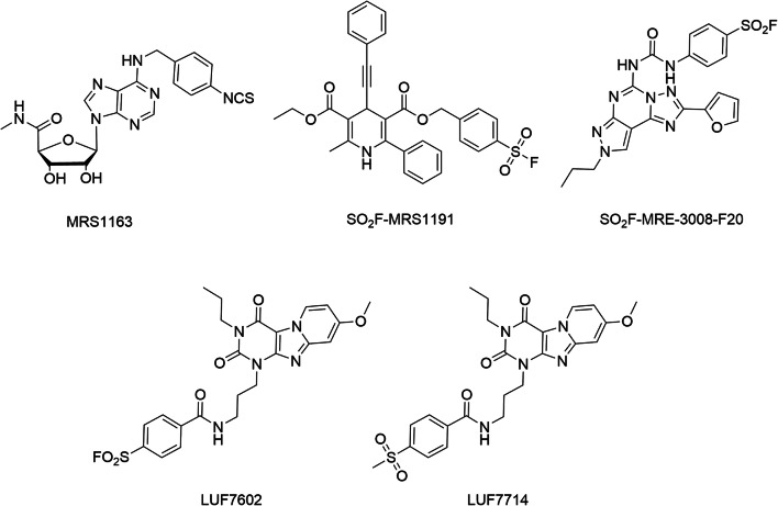 Fig. 6