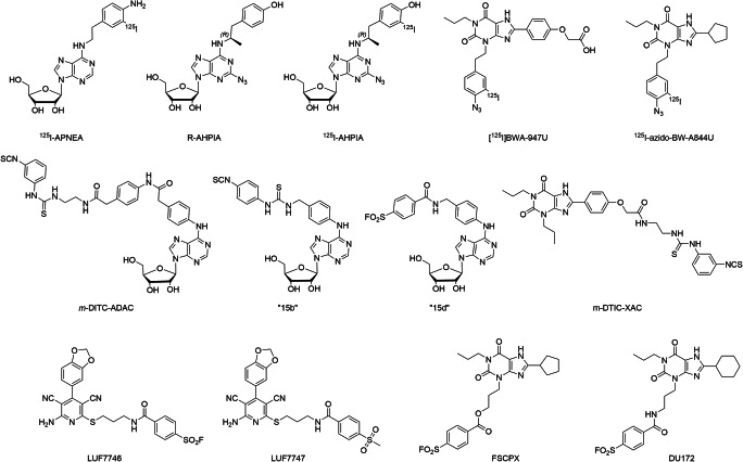 Fig. 4