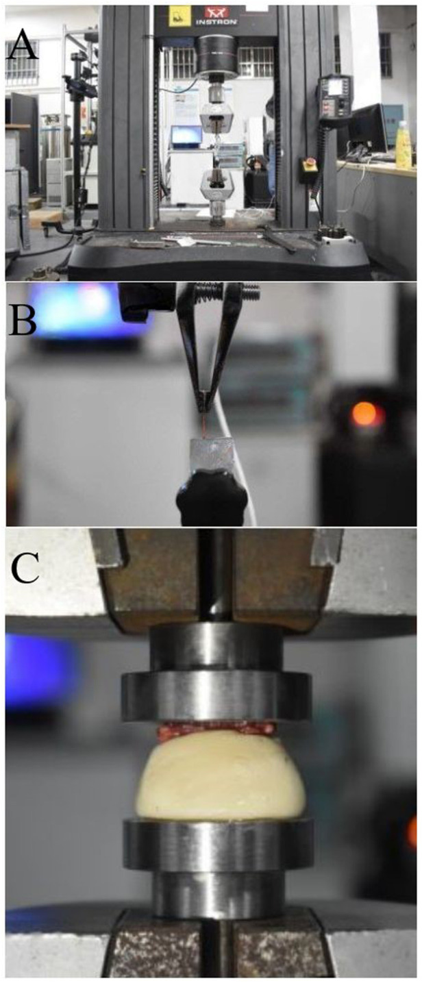 FIGURE 1