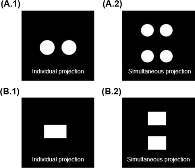 Fig. 2