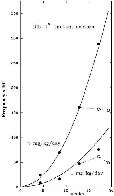 Fig 1.