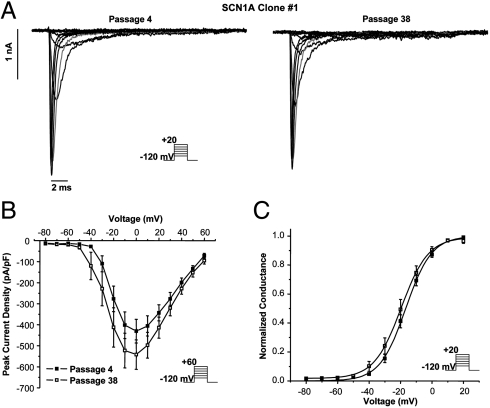 Fig. 5.