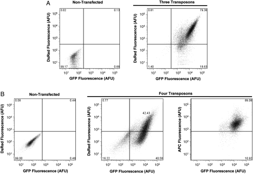 Fig. 2.